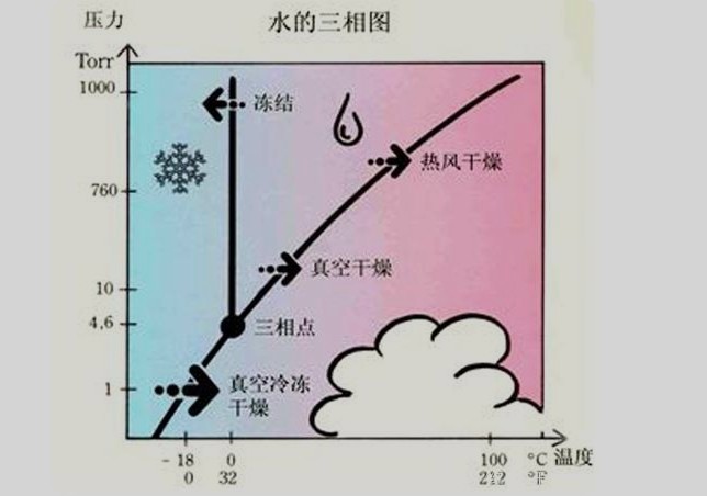 冷冻干燥机要多久才可以冻干一批物料？